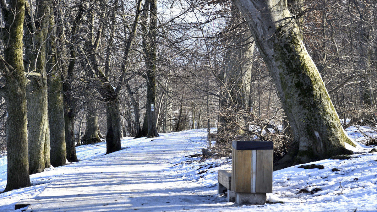 Normafa Atra� Visitantes em Busca de Lazer e Conex�o com a Natureza